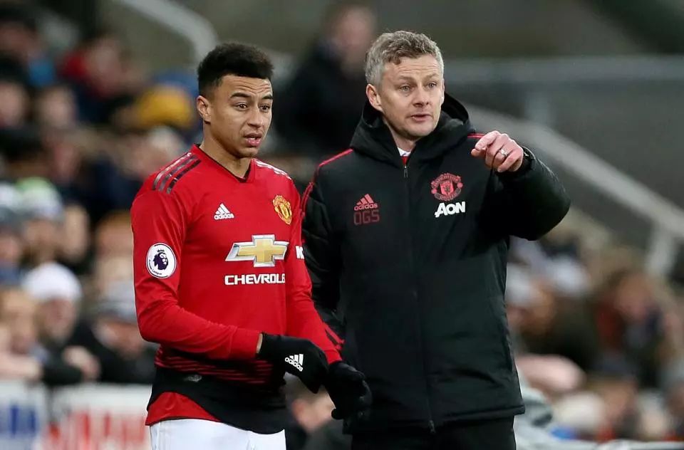 们在各自的 们在各自的