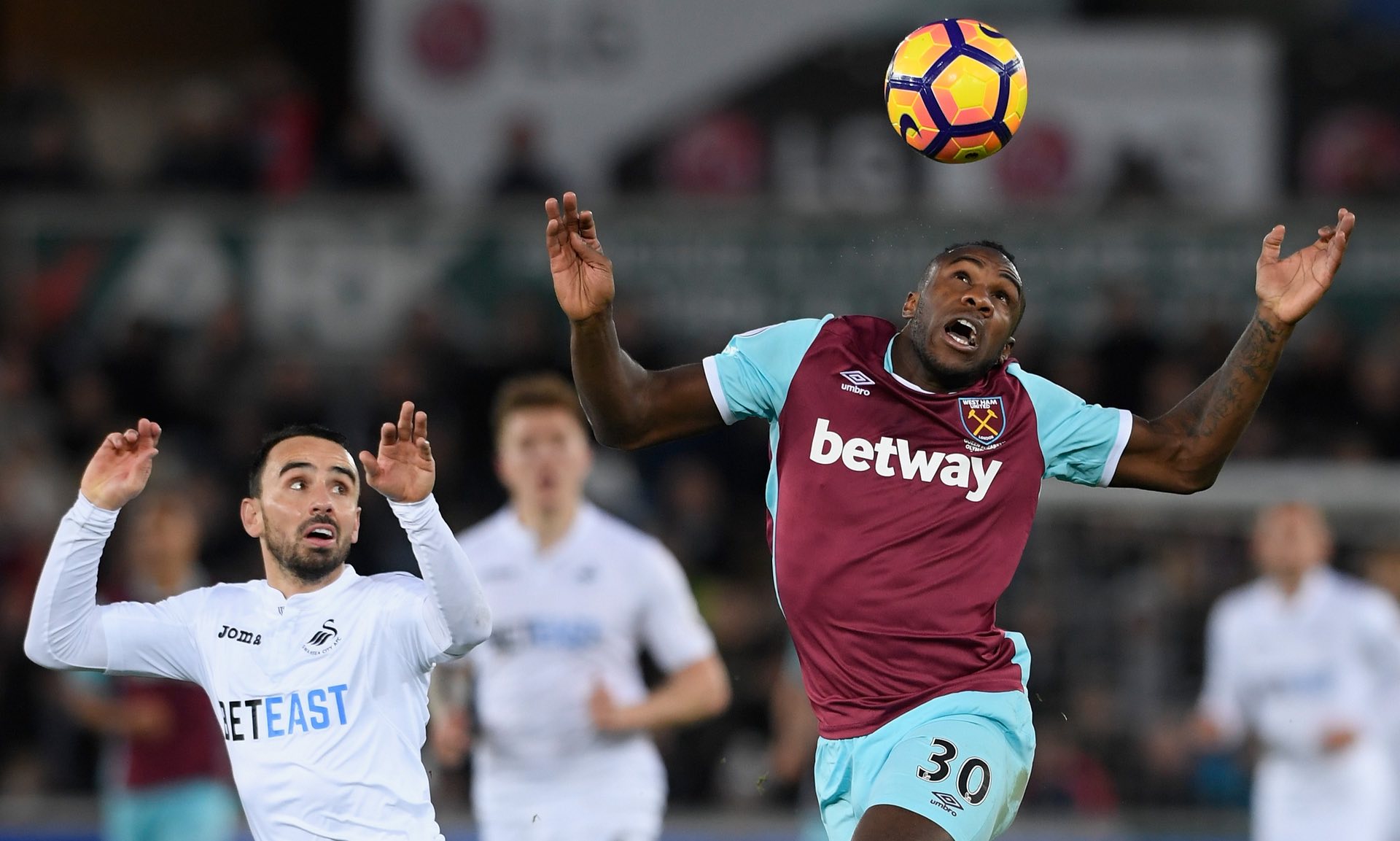 积极向上的 积极向上的