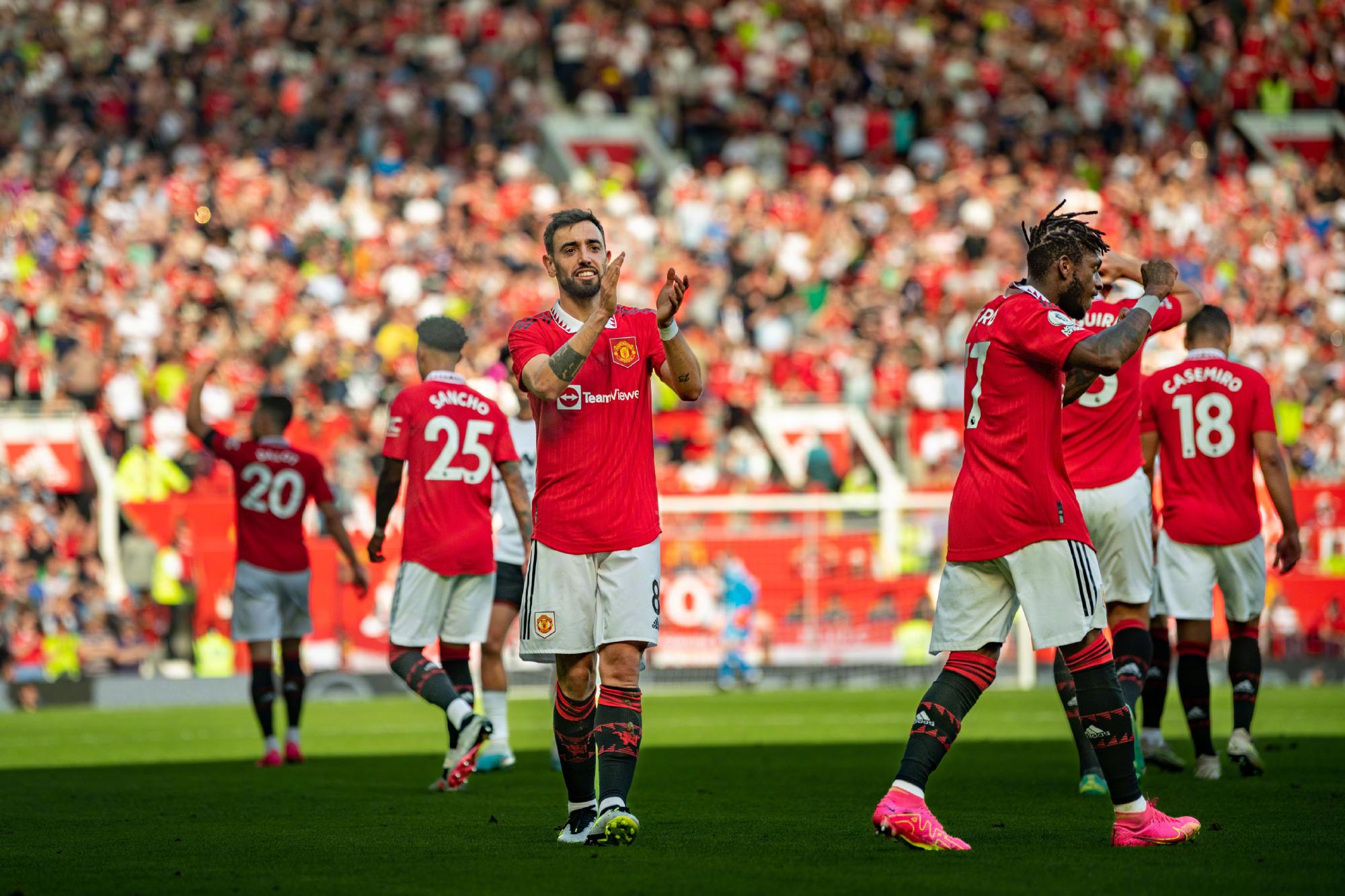 他们若决定 他们若决定