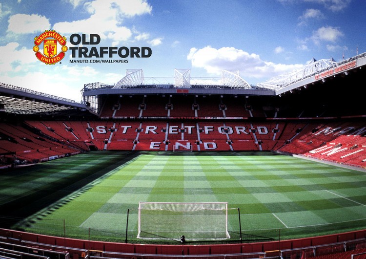 这些素质使 这些素质使